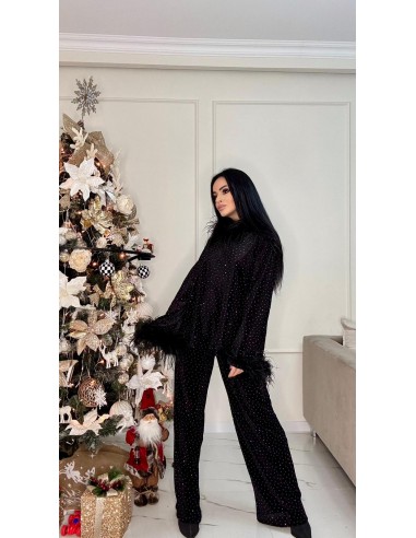 Set din catifea cu tinte si pene